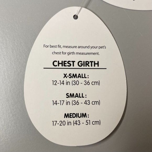 NWT Dog Tshirt "Chicks Dig Me" - Picture 3 of 3